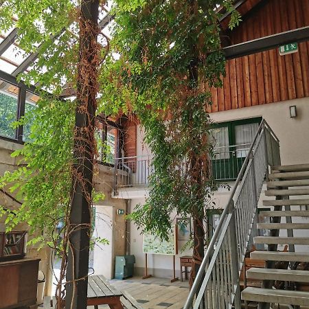 Landhotel Schaferhof Langenstein Екстер'єр фото